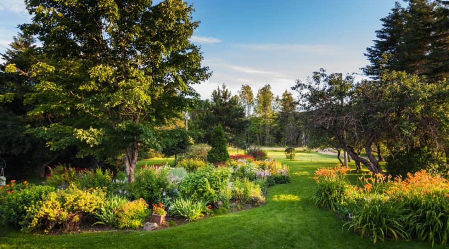 Beautiful Front Yark Garden and Grass