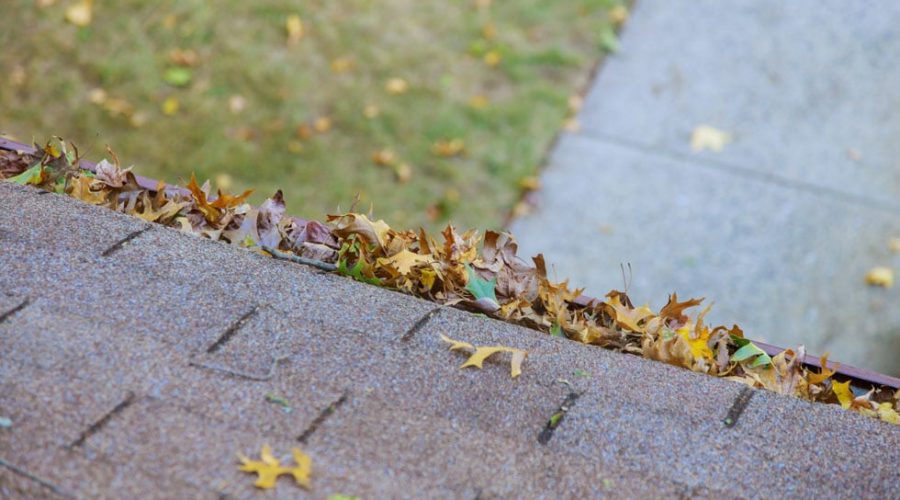 Dirty roof with iron gutter with autumn leaves requiring cleaning