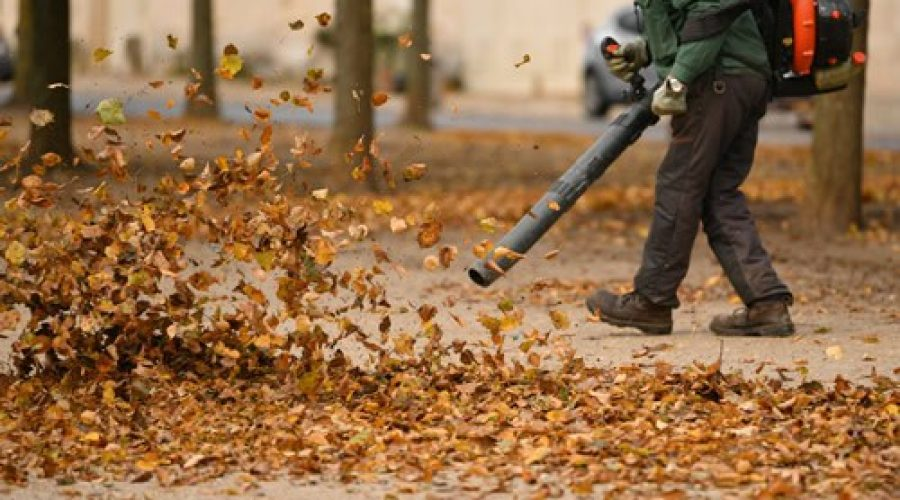 fall-cleanup-r3fsnhxtrm0tdcjlls31i63fws7bdwkkc6u5d5j8ug.webp