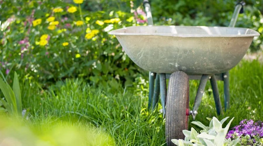 Landscape Maintenance - Paul's Outdoor Living
